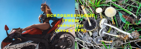 соль ск Абинск