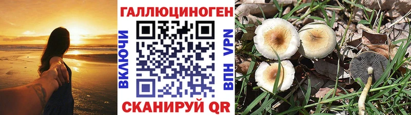 kraken   Черепаново  Галлюциногенные грибы ЛСД 